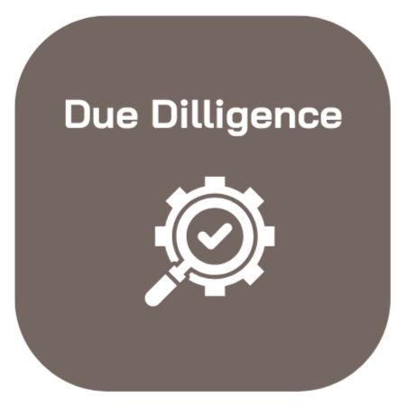 Due Diligence